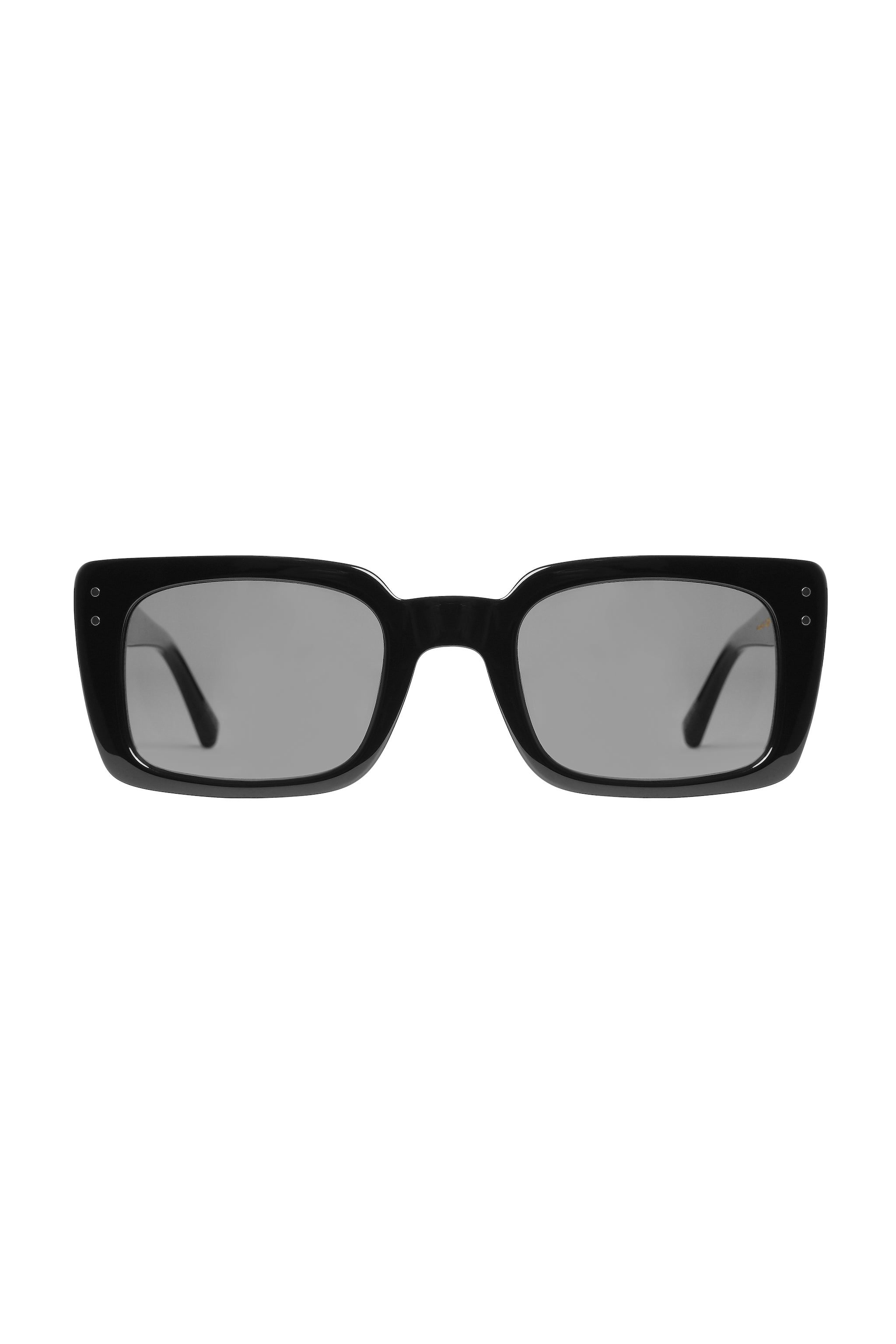 Black Tortoise Sunglasses