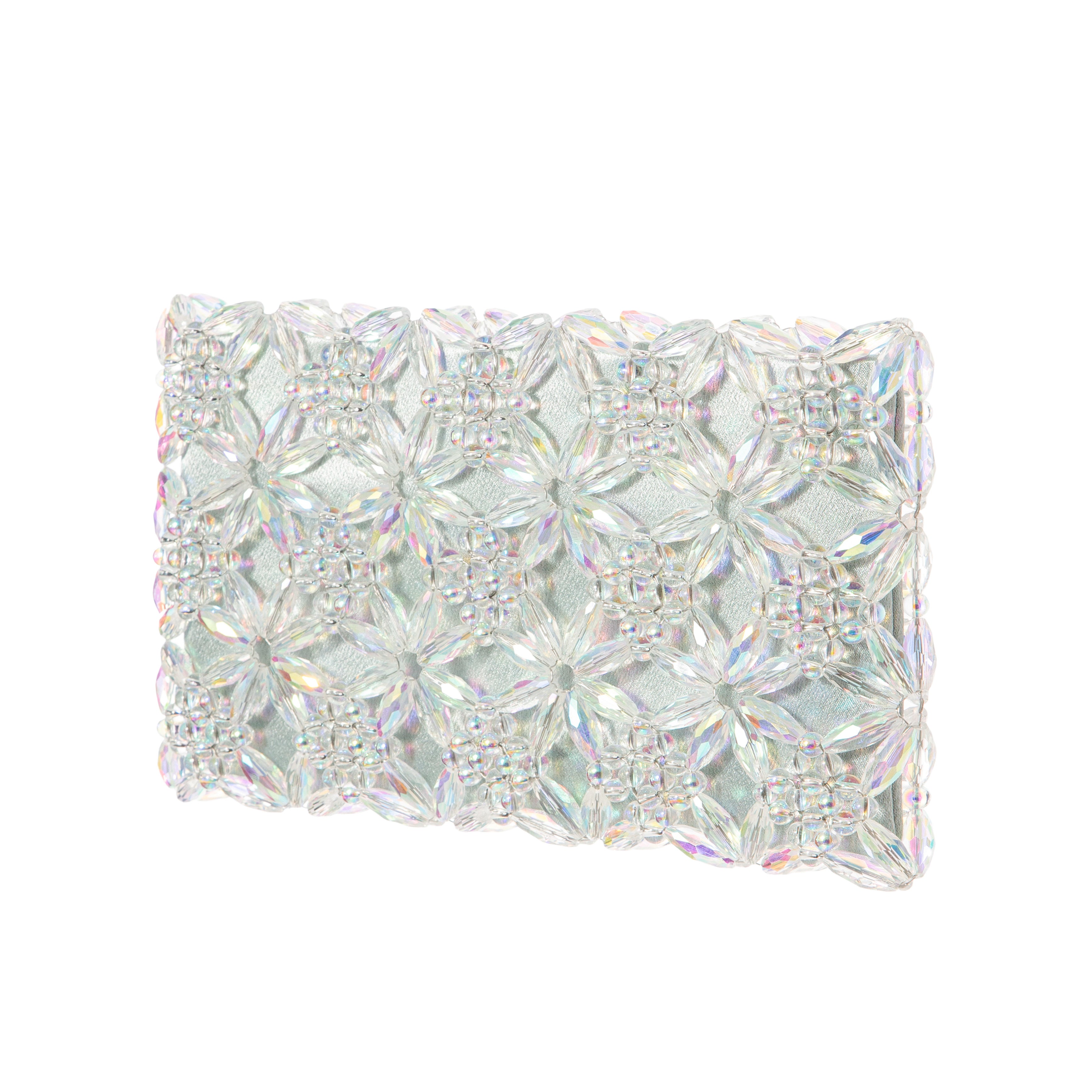 Transparent & Light Mint Rhea Clutch