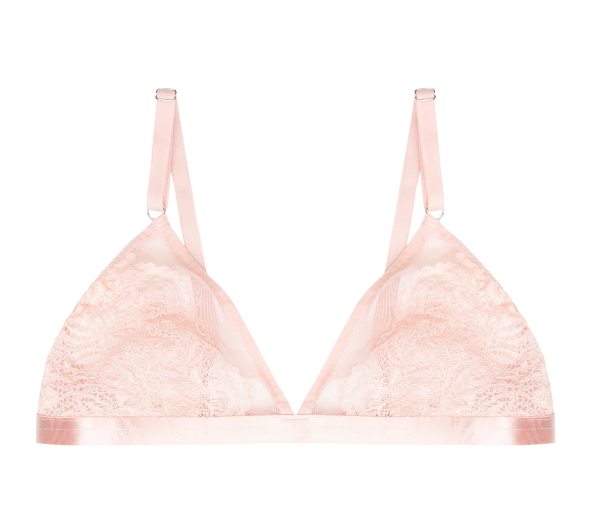 Sheer Mesh & Corded Lacey with Scalloped Edge