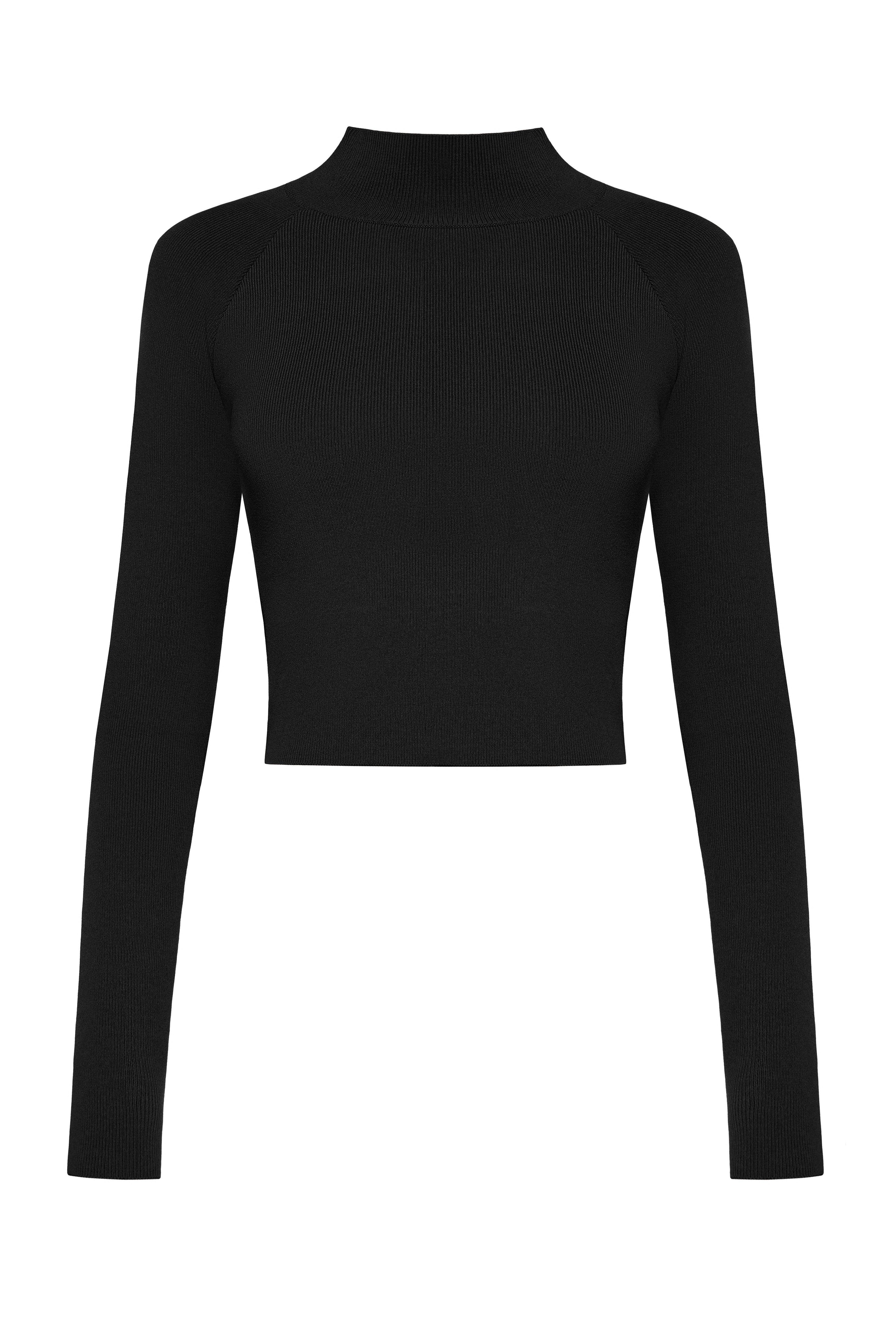 Black Rib Turtleneck